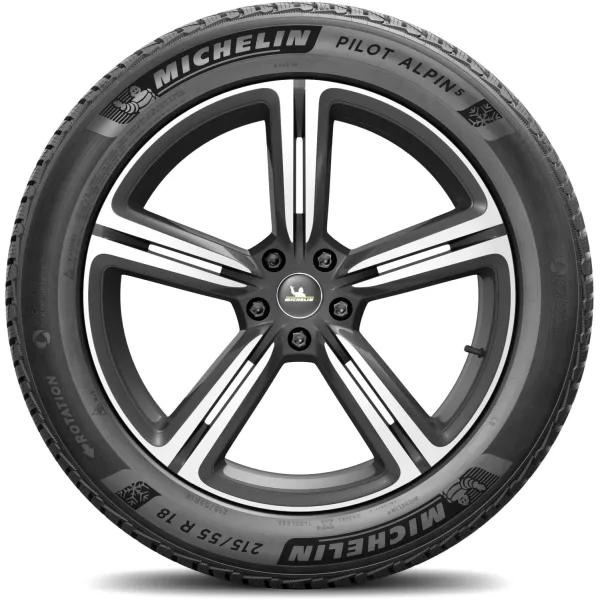 Michelin 215/55 R18 99V XL Pilot Alpin 5 — изображение 3
