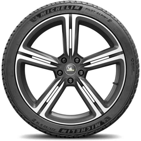 Michelin 225/40 R18 92W XL Pilot Alpin 5 — изображение 3