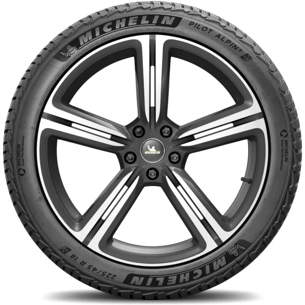 Michelin 225/45 R18 95V XL Pilot Alpin 5 — изображение 3