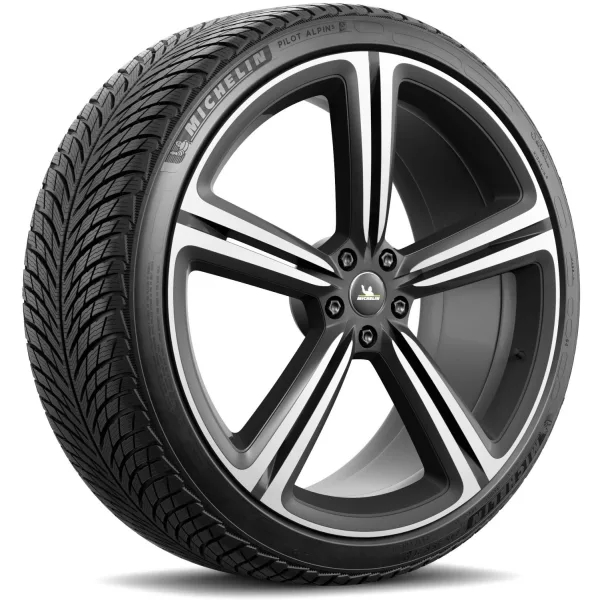 Michelin 245/35 R21 96W XL Pilot Alpin 5 — изображение 2