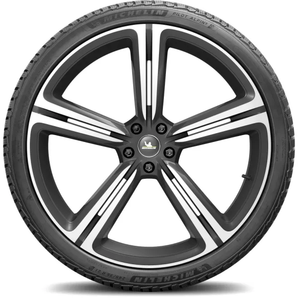 Michelin 245/35 R21 96W XL Pilot Alpin 5 — изображение 3