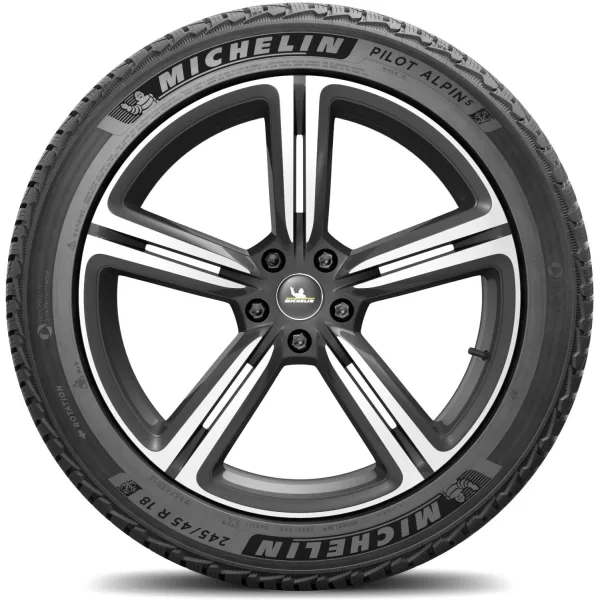 Michelin 245/45 R18 100V XL Pilot Alpin 5 — изображение 3