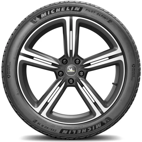 Michelin 255/40 R18 99V XL Pilot Alpin 5 — изображение 3