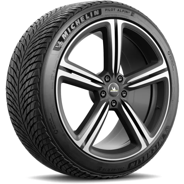 Michelin 255/40 R19 100V XL Pilot Alpin 5 — изображение 2