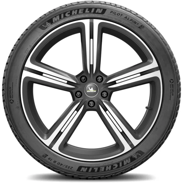 Michelin 255/40 R19 100V XL Pilot Alpin 5 — изображение 3