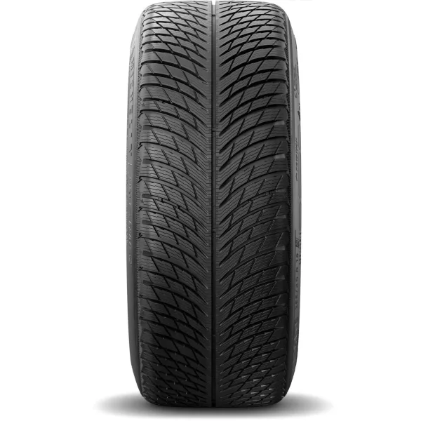 Michelin 255/40 R19 100V XL Pilot Alpin 5 — изображение 4