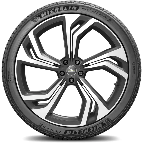 Michelin 255/40 R21 102V XL Pilot Alpin 5 SUV — изображение 3