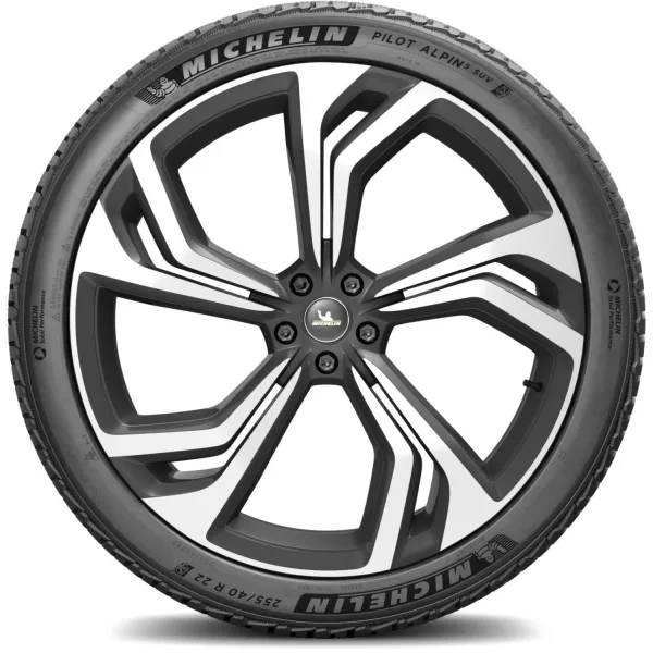 Michelin 255/40 R22 103V XL Pilot Alpin 5 SUV — изображение 3