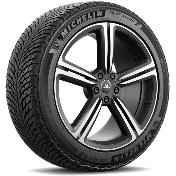 Michelin 255/45 R18 103V XL Pilot Alpin 5 — изображение 2