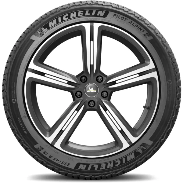 Michelin 255/45 R18 103V XL Pilot Alpin 5 — изображение 3