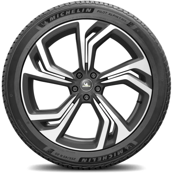 Michelin 255/45 R20 105V XL Pilot Alpin 5 SUV * — изображение 3