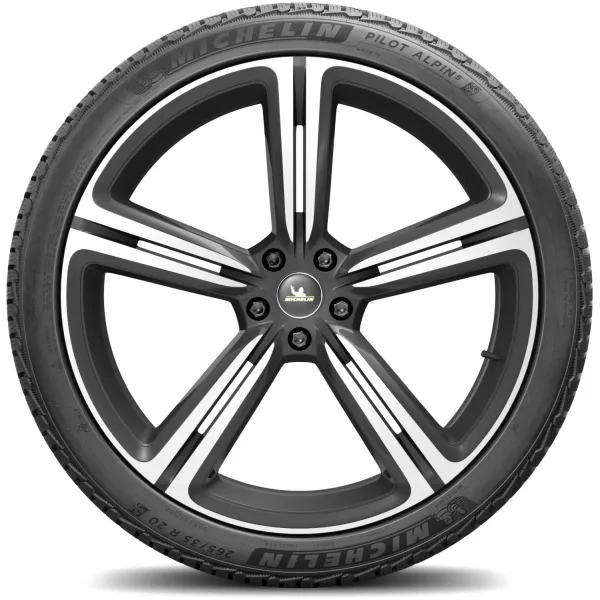 Michelin 265/35 R20 99W XL Pilot Alpin 5 — изображение 3