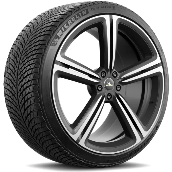 Michelin 305/30 R21 104V XL Pilot Alpin 5 — изображение 2