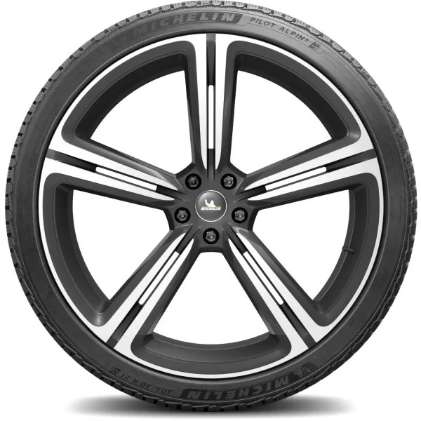 Michelin 305/30 R21 104V XL Pilot Alpin 5 — изображение 3