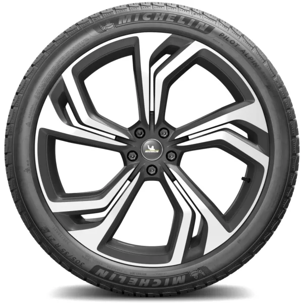 Michelin 305/35 R21 109V XL Pilot Alpin 5 SUV N0 — изображение 3