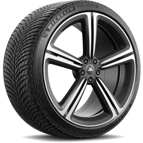 Michelin 315/30 R21 105V XL Pilot Alpin 5 — изображение 2