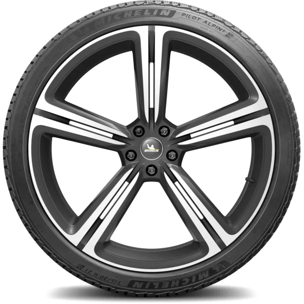 Michelin 315/30 R21 105V XL Pilot Alpin 5 — изображение 3