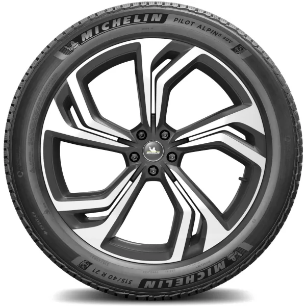 Michelin 315/40 R21 115V XL Pilot Alpin 5 SUV — изображение 3