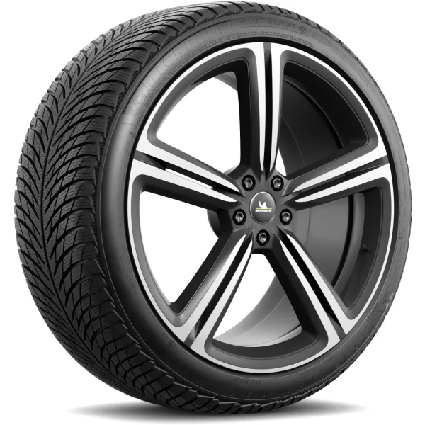 Michelin 255/40 R20 101W XL Pilot Alpin 5 — изображение 2