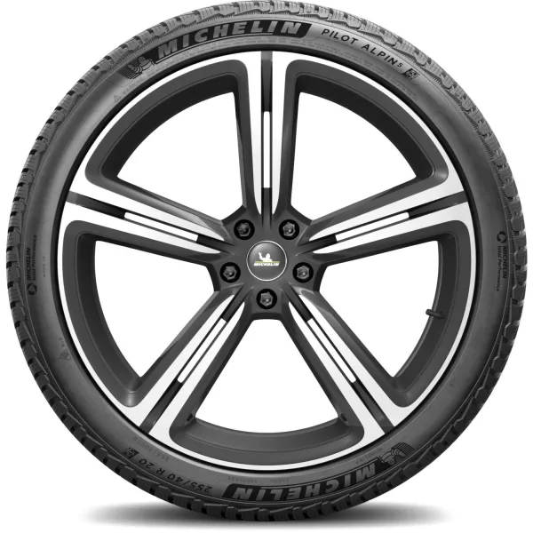 Michelin 255/40 R20 101W XL Pilot Alpin 5 — изображение 3
