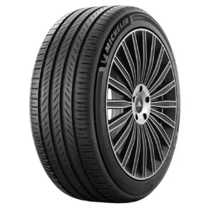 Фото Michelin Primacy 5